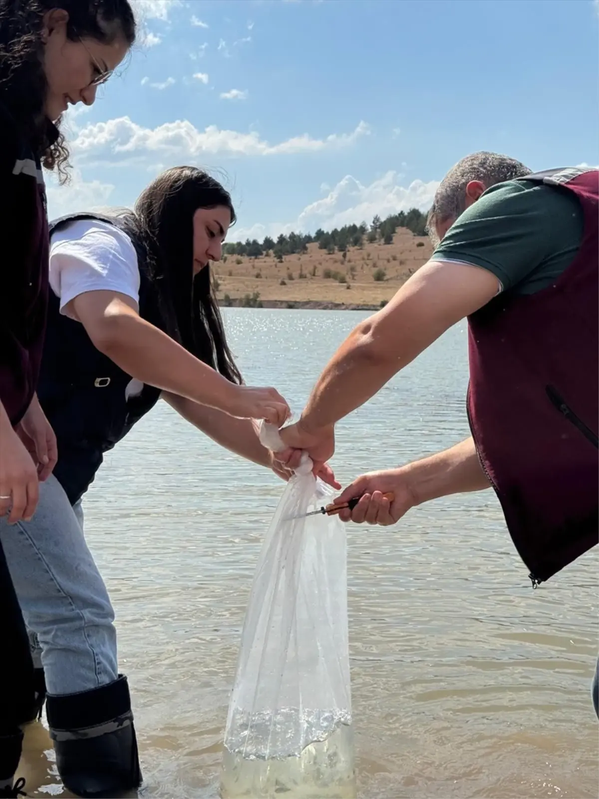 cankirida 320 bin sazan yavrusu birakildi RKVrxQun