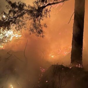 ispartada ormanlik alanda cikan yangin kontrol altinda aqRHmska