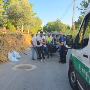 motosikletin yaninda hareketsiz yatiyordu bursada bir kisi yolda olu bulundu sqanVPVj