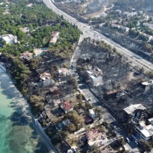 orman yanginlari yaban hayati tehdit ediyor NyJyafKW