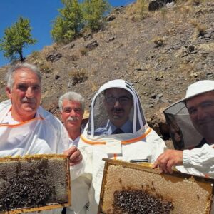 sincikte bal hasadi basladi rkKAZw1x