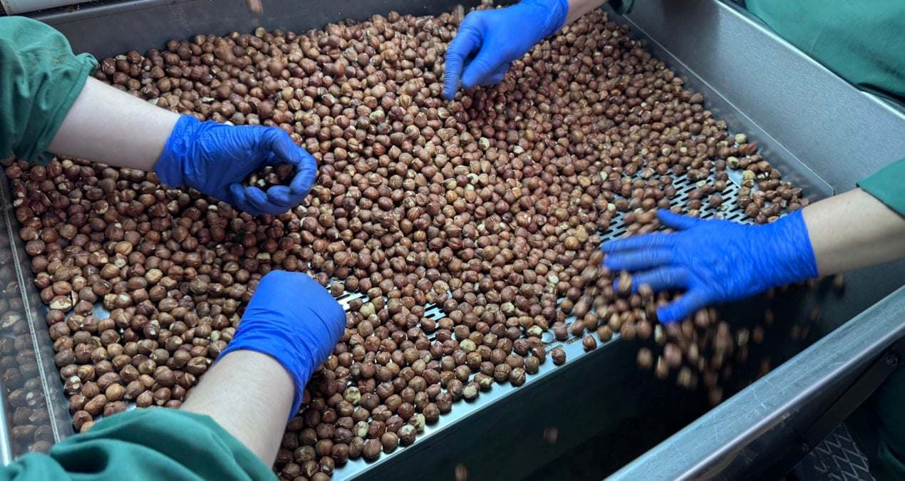 124 ulke findik icin turkiyeye para yagdirdi UgcUFAsa