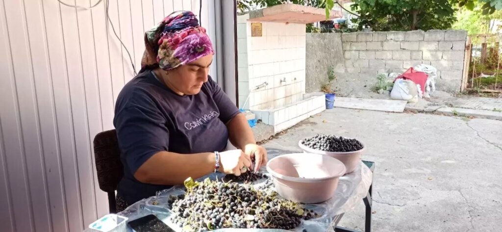 aronya meyvesi suyuna yogun ilgi nqOWuWTB