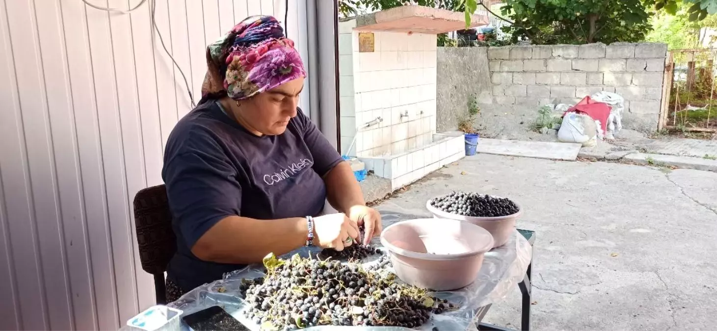 aronya meyvesi suyuna yogun ilgi nqOWuWTB