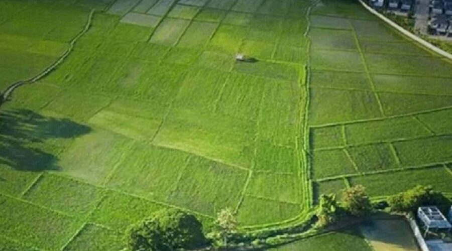 arsa rayic bedelleri akpnin gundeminde pRMwy7NJ