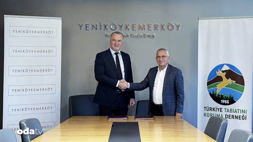 cok konusuldu imzalar atildi zeytin agaclarina siki takip JUTsOLIn