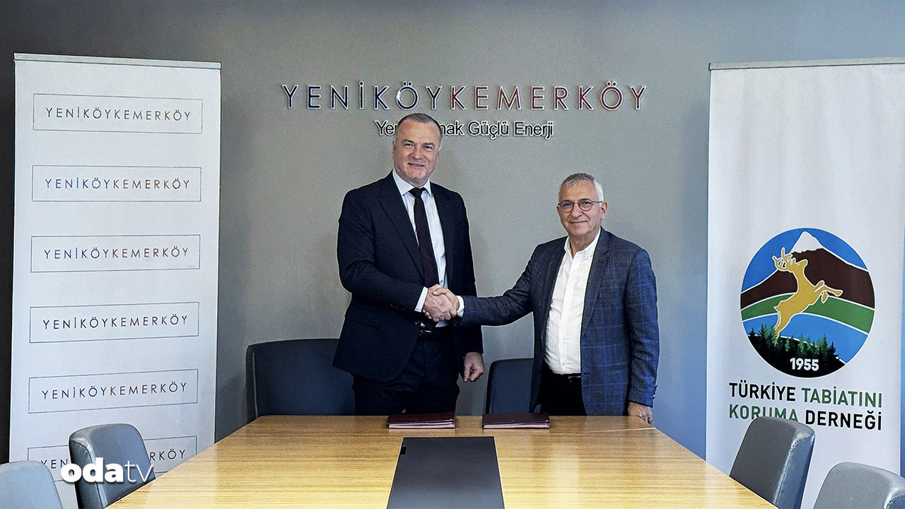 cok konusuldu imzalar atildi zeytin agaclarina siki takip JUTsOLIn