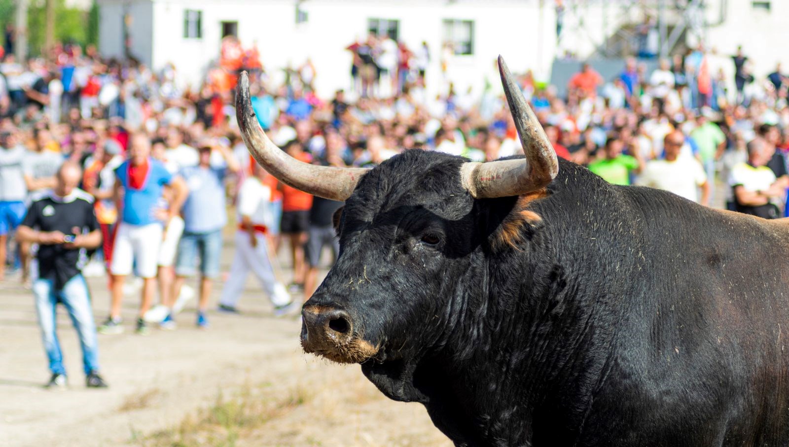 ispanyada kizgin boga park halindeki araci parcaldi YpPTJZkA