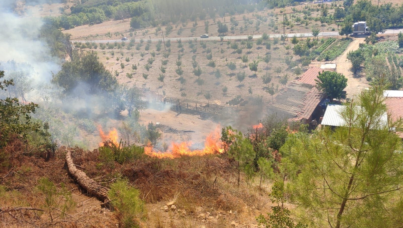 sindirgida orman yangini wEfpdCRz