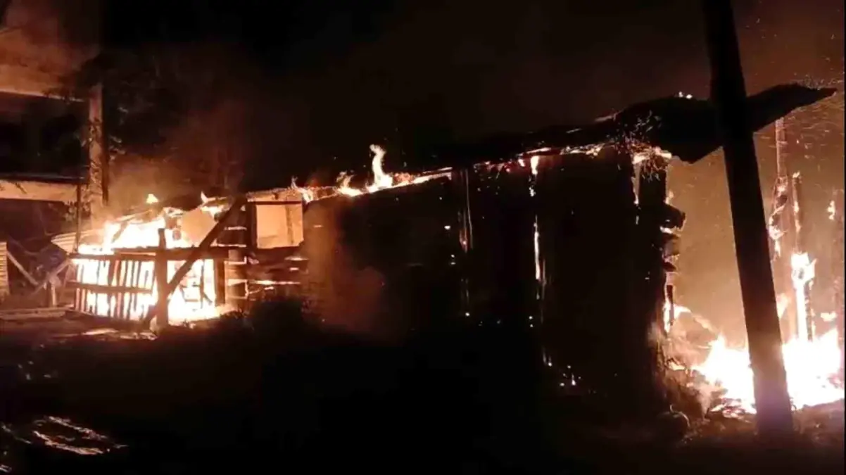 tireboluda yangin bir ton findik yandi 3SAOrsOf