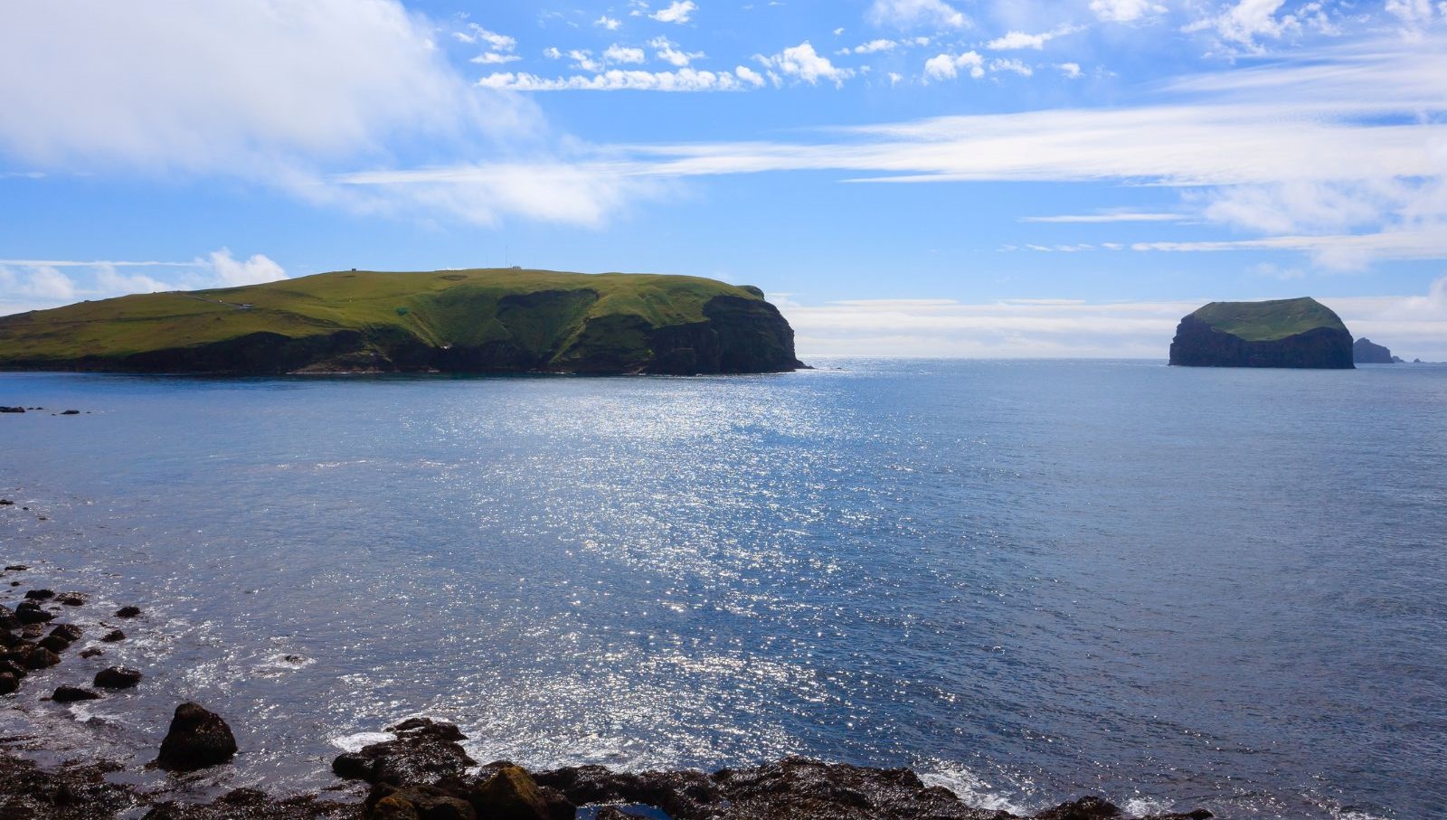 60 yil once dogan ada tabiatin kendini nasil onardiginin kaniti oldu 13G6w9lv.jpg