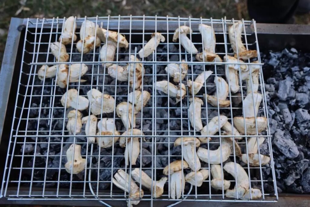 kilosu etle yarisiyor japonlarin gozdesi beyaz altinda hasat basladi vHfa2rCs.jpg