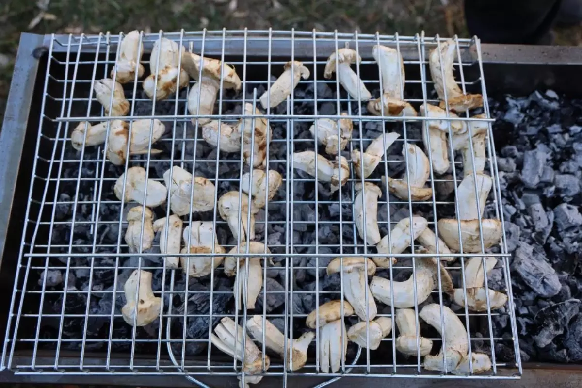 kilosu etle yarisiyor japonlarin gozdesi beyaz altinda hasat basladi vHfa2rCs.jpg